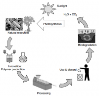 Tổng hợp polyme phân hủy sinh học và ứng dụng trong hóa học và thực phẩm