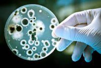 Nền tảng công nghệ nano mới nhắm đến phát hiện vi khuẩn trong thực phẩm (Giáo sư Tiến sĩ Suresh Neethirajan)